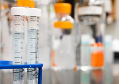 Efectos del uso de alcohol y cannabis en adultos y menores