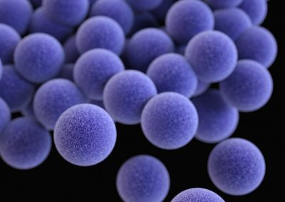 Microbiota intestinal y trastorno por uso de alcohol. Impacto del sexo y del consumo concomitante de cocaína y/o cannabis